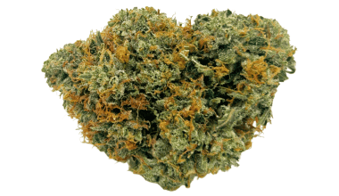 Cherry Kush - AAAA (1/4 LB - 2 LB)