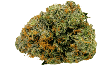 Hindu Kush - AAAA