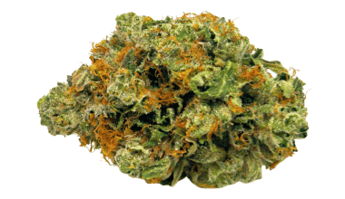 Bubba Kush - AAAA