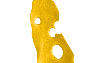 MK Ultra - Shatter