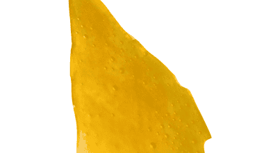 God's Green Crack - Shatter