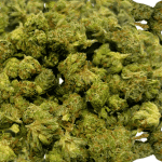 Pink Goo - Popcorn (1/4 LB - 2 LB) - Image 2