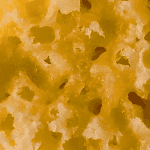 Critical Mass Honeycomb - Crumble (Indica) (1/4 LB - 1 LB) - Image 2