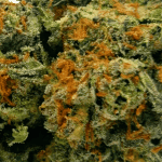 Cherry Pie - AAAA - Image 2