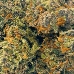 Tropicana Cookies - AAAA (1/4 LB - 2 LB) - Image 2
