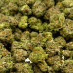 Purple Punch - Popcorn (1/4 LB - 2 LB) - Image 2