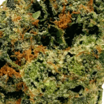 Grape Kush - AAAA - Image 2