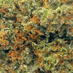 Death Bubba - AAAA - Image 2