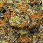 OG Kush - AAAA - Image 2
