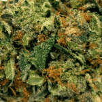 Death Gas - AAAA - Image 2