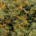 Cherry Kush - AAAA - Image 2