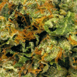 Bubba Kush - AAAA (1/4 LB - 2 LB) - Image 2