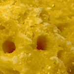 Lemon Kush Honeycomb - Crumble (Hybrid) - Image 2