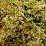 Black Gas - AAAA - Image 2