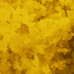 Orange Cookies - Live Resin (Hybrid) (1/4 LB - 1 LB) - Image 3