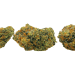 Master Kush - Craft Cannabis (1/4 LB - 1 LB) - Image 3