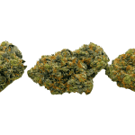 Rockstar Tuna - Craft Cannabis (1/4 LB - 1 LB) - Image 3