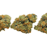 Rock Bubba - AAAA - Image 3