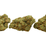 Gary Payton - Craft Cannabis (1/4 LB - 1 LB) - Image 3