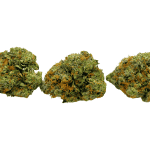 Hindu Kush - AAAA (1/4 LB - 2 LB) - Image 3