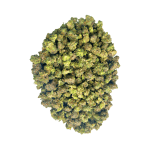 Master Kush - Popcorn - Image 4