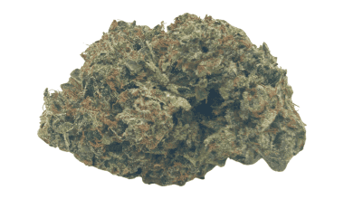 Animal Mints - AAAA