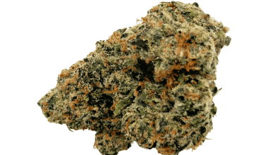 Gorilla OG - AAAA