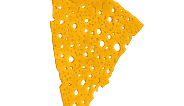 Biscotti - Shatter (1/4 LB)