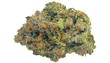 Diablo Death Bubba - Craft Cannabis (1/4 LB - 1 LB)