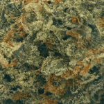 Super Silver Haze - AAAA (1/4 LB - 2 LB) - Image 2