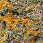 Thin Mints - AAAA - Image 2