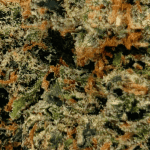 Gorilla OG - AAAA (1/4 LB - 2 LB) - Image 2