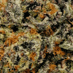 Peanut Butter Rockstar - AAAA (1/4 LB - 2 LB) - Image 2