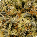 Donkey Butter - AAAA (1/4 LB - 2 LB) - Image 2