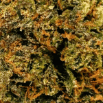 Passionfruit - AAAA (1/4 LB - 2 LB) - Image 2