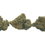 Super Silver Haze - AAAA (1/4 LB - 2 LB) - Image 3