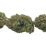 Animal Mints - AAAA (1/4 LB - 2 LB) - Image 3