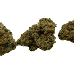 Gorilla OG - AAAA - Image 3