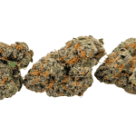 Alien OG - AAAA (1/4 LB - 2 LB) - Image 3