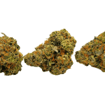 Passionfruit - AAAA (1/4 LB - 2 LB) - Image 3