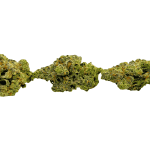 Frumpz (Crop #8) - Craft Cannabis - Image 3
