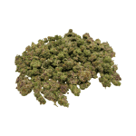 Skittlez - Popcorn (1/4 LB - 2 LB)