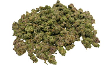 Skittlez - Popcorn (1/4 LB - 2 LB)