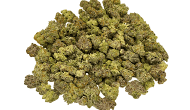 Tropical Runtz - Popcorn