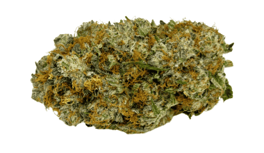 Shishkaberry - Craft Cannabis (1/4 LB - 1 LB)