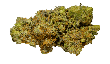 Critical Haze - AAAA (1/4 LB - 2 LB)