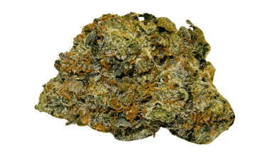 Critical Haze - AAAA (1/4 LB - 2 LB)