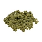 Ghost OG - Popcorn