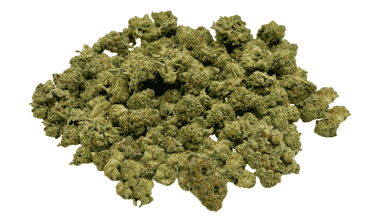 Ghost OG - Popcorn