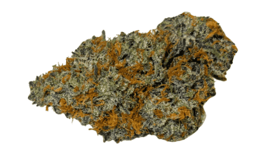 Tropical Punch - AAAA (1/4 LB - 2 LB)